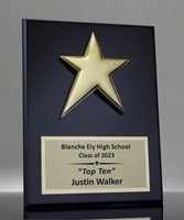 Picture of Star Employee Award Plaque