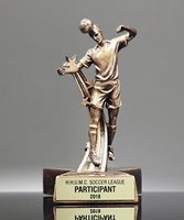 Picture of Superstar Soccer Trophy - Male