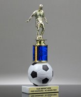 Picture of Soccer Riser Trophy