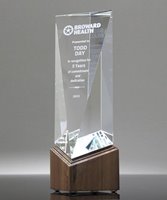 Picture of Crystal Top Performers Award