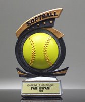 Picture of All-Star Softball Award