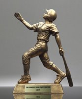 Picture of GR Series Softball Award