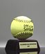 Picture of Official Softball Participation Trophy