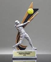 Picture of Live Action Softball Award