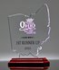 Picture of State of Ohio Acrylic Award