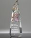 Picture of Prism Fantasy Crystal Award