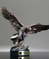 Picture of Ferocity Eagle Award