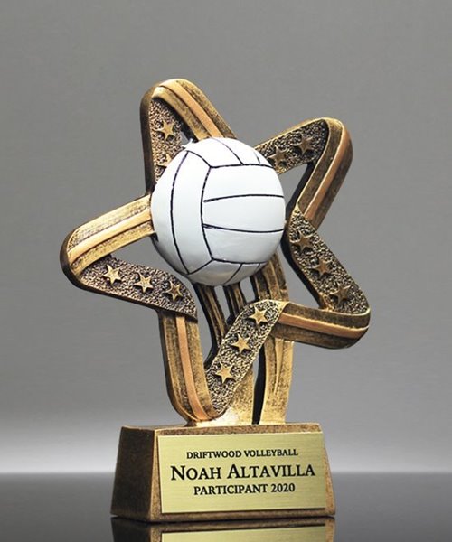 Picture of Mega Star Volleyball