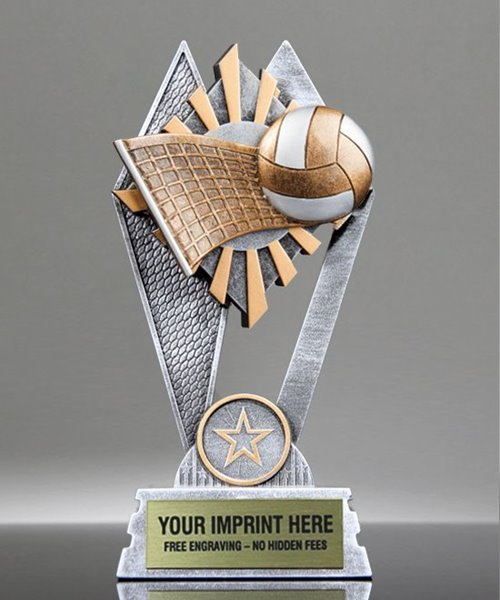 Picture of Sun Ray Volleyball Award