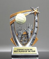 Picture of Volleyball 3D Star Award