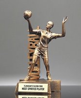 Picture of Billboard Male Volleyball Award