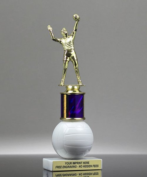 Picture of Volleyball Riser Trophy