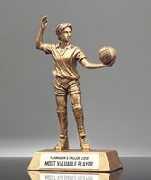 Picture of Classic Volleyball Male Player Resin Trophy