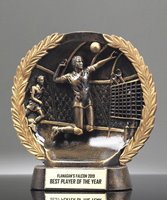 Picture of Bronzestone Volleyball Award - Male