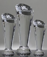 Picture of Employee Spotlight Crystal Trophy