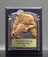 Picture of Greystone Wrestling Award Plaque