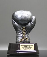 Picture of Silverstone Boxing Glove Award