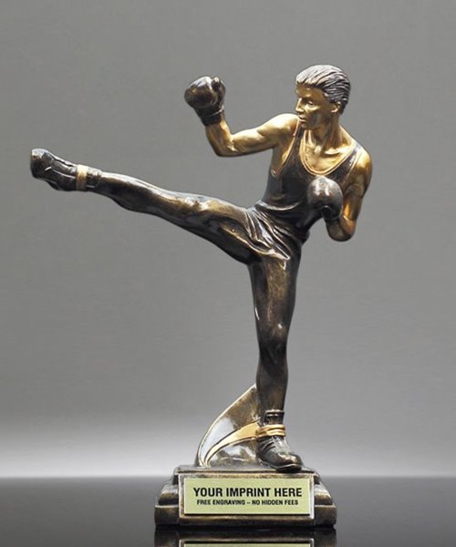 Picture of Mixed Martial Arts Trophy