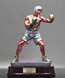 Picture of Gallery Boxing Award