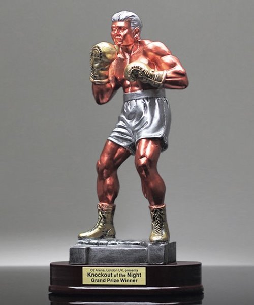 Picture of Large Gallery Boxing Resin