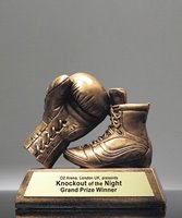 Picture of Golden Glove Boxing Award