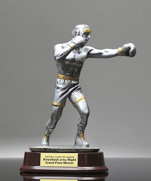 Picture of Silverstone Male Boxing Award