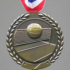 Picture for category Volleyball Medals