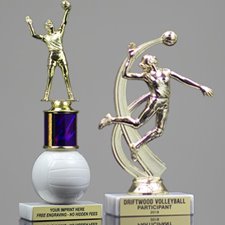 Picture for category Volleyball Column Trophies