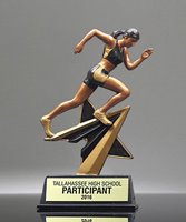 Picture of Star Power Track Trophy - Female