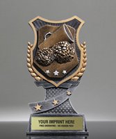 Picture of Pro Shield Cheer Trophy