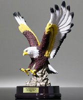 Picture of American Eagle Award