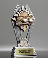 Picture of Sun Ray Swimming Award