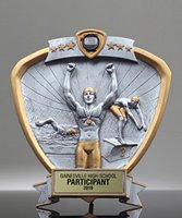 Picture of Swimming Shield Award - Male