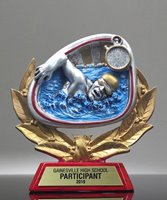 Picture of Stamford Athletic Swimming Award