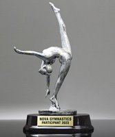 Picture of Silverstone Female Gymnast