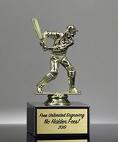 Picture of Cricket Recognition Trophy