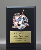 Picture of Color Theme Hockey Plaque