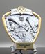 Picture of Silverstone Shield Lacrosse Award - Male