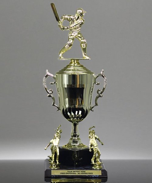 Picture of Champions Trophy