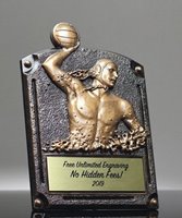 Picture of Legend Of Fame Water Polo