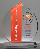 Picture of Acrylic Ellipse Award - Orange Theme