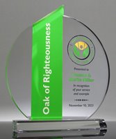 Picture of Acrylic Ellipse Award - Green Theme