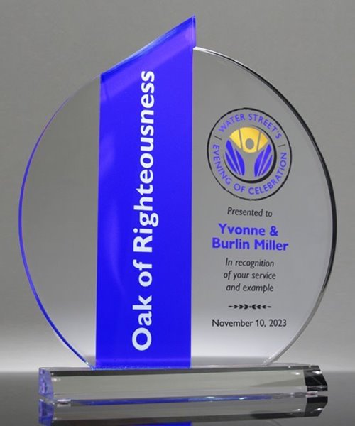 Picture of Acrylic Ellipse Award - Blue Theme