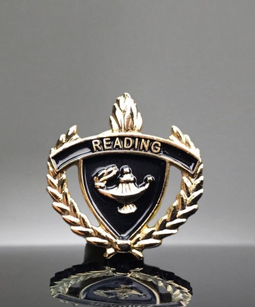 Picture of Top Reader Pin