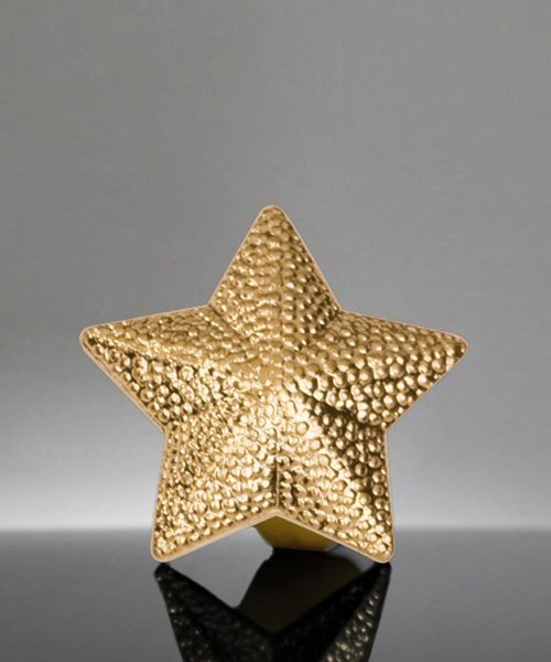 Picture of Small Gold Star Lapel Pin