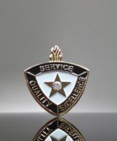 Picture of Service Quality Excellence Pin