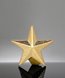 Picture of Gold Star Lapel Pin