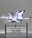 Picture of High Flyer Acrylic Jet Trophy