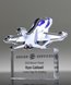 Picture of High Flyer Acrylic Jet Trophy