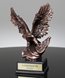 Picture of Bronze Eagle Trophy With American Flag